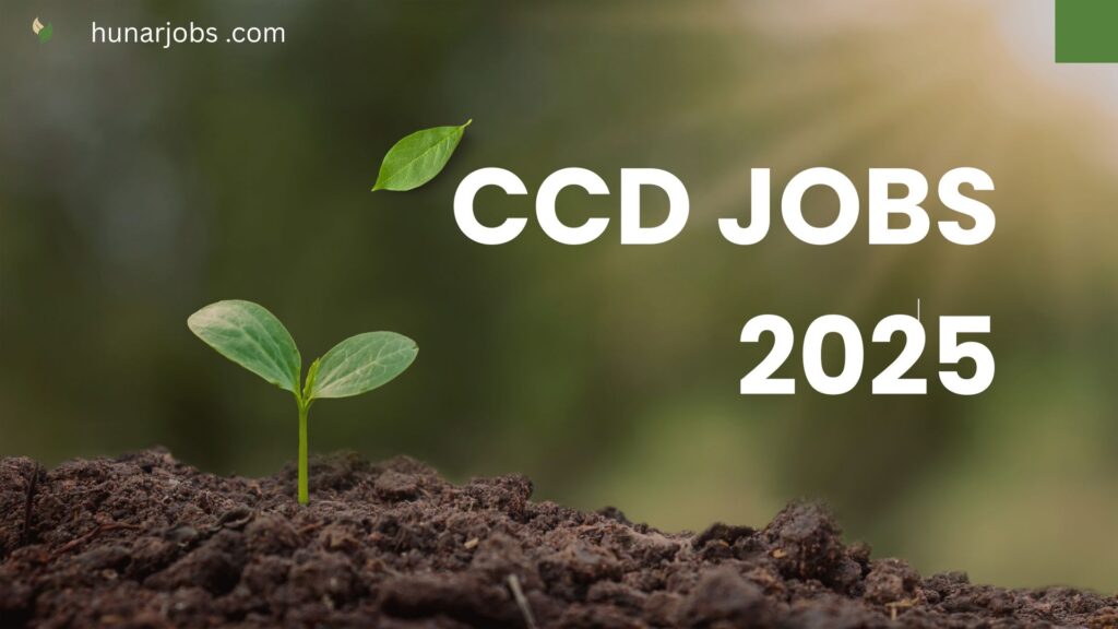 ccd jobs