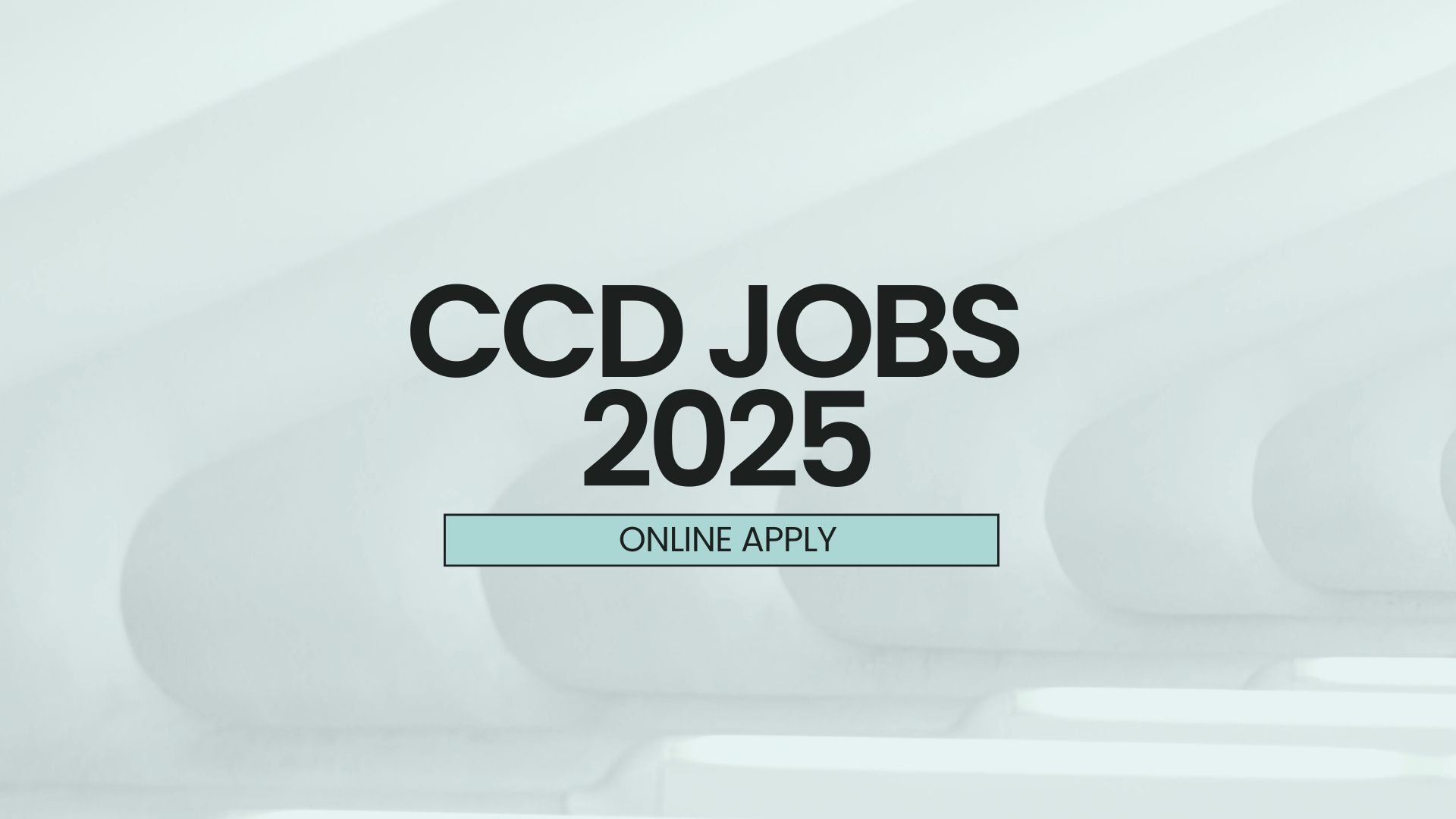 CCD Jobs 2025