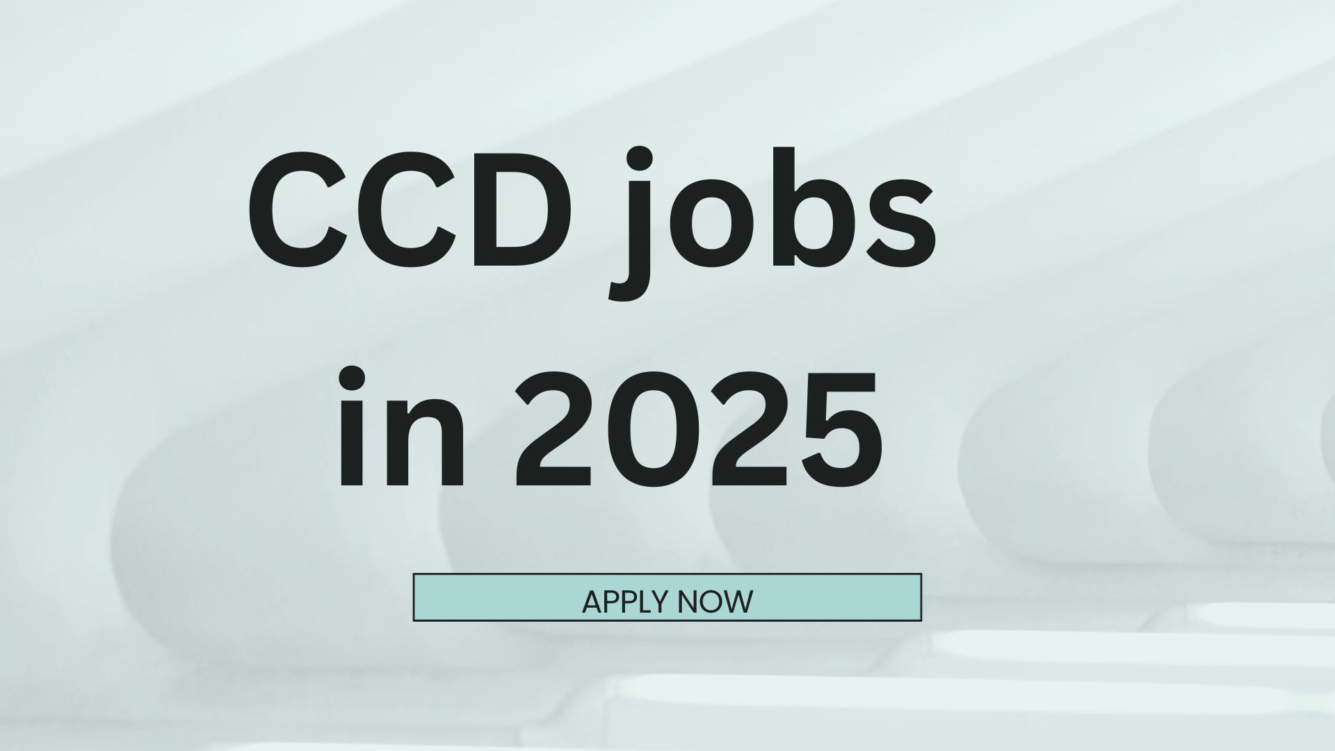 CCD jobs